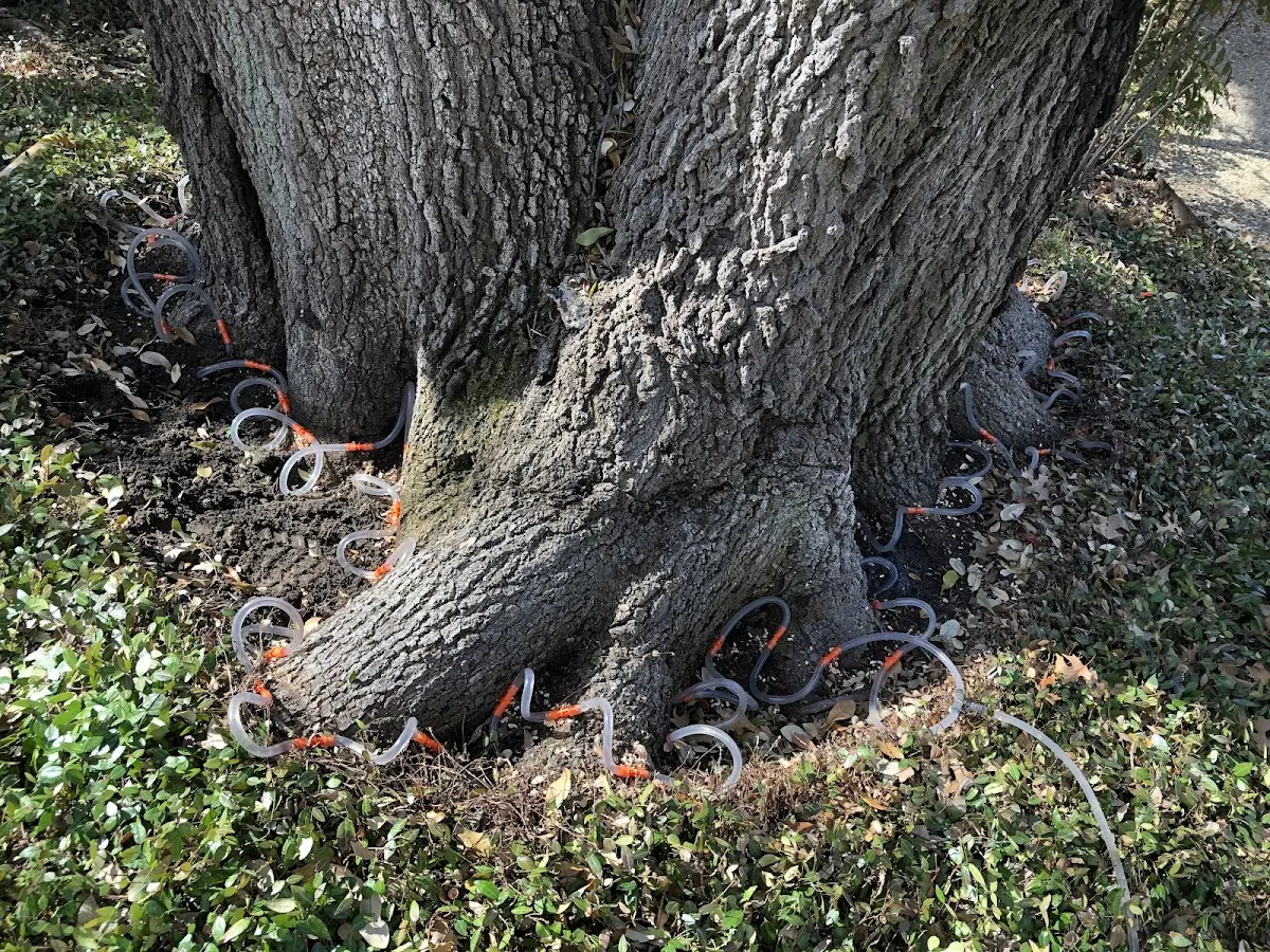 Detailed Shrub and Hedge Trimming job site in Hallock
